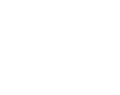 SHIN DENGEN